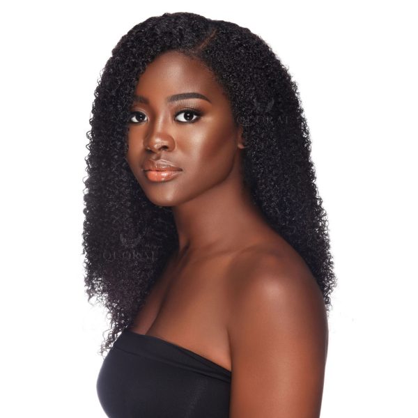 Untitled design - 87 Eden Curly Wig