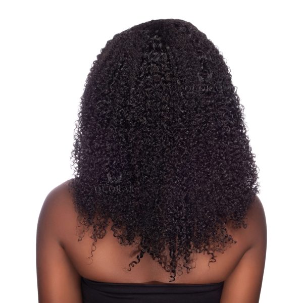 Untitled design - 88 Eden Curly Wig
